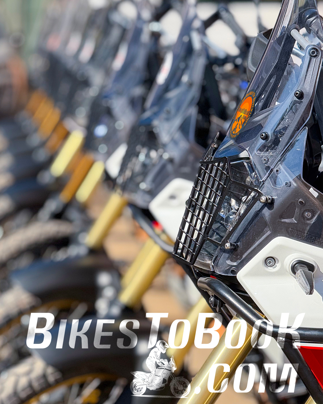 <p><strong>Explore Marrakech and Its Adventures</strong></p>